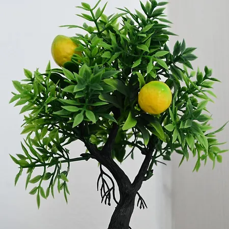 Luani Appartement *