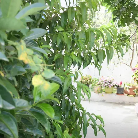 Appartement Luani *