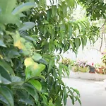 Apartman Luani *